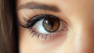 woman's brown eye, women, brunette, Markéta Stroblová, eyes