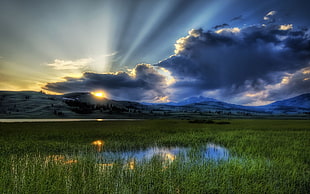 Sunrise photography HD wallpaper