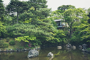 house surrounded by green trees near body of water during daytime \