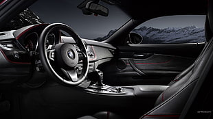 black steering wheel, BMW Z4, car