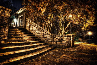 gray concrete stair, night, stairs, HDR, park