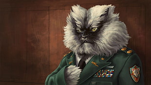 Gray and black cat wearing Military Uniform 2D illustration