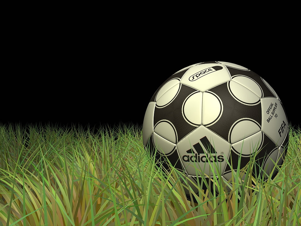 black and white ADidas soccer ball on grass HD wallpaper