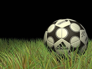 black and white ADidas soccer ball on grass HD wallpaper
