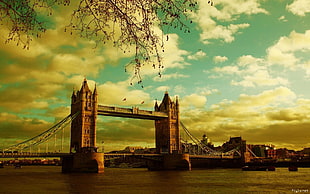 tower bridge, bridge, Tower Bridge, London, cityscape