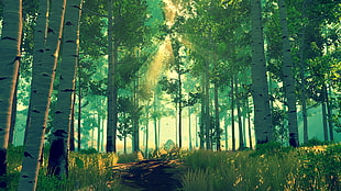 green forest trail, forest, in-game, Firewatch HD wallpaper