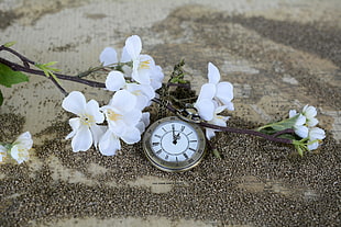 photo of white flowers and pocket watch