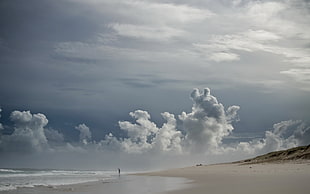 seashore over cloudy sky HD wallpaper