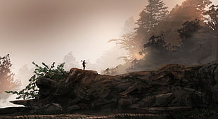 man standing on cliff, fantasy art, trees, mist, nature