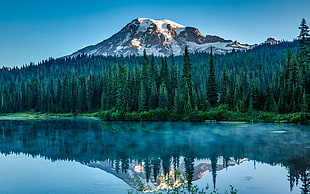 snow-capped mountain surrounded with trees near body of water, nature, landscape, lake, forest
