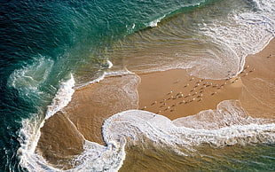 seashore and waves HD wallpaper