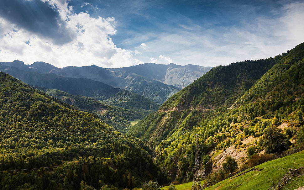 green trees, landscape, trees, clouds, mountains HD wallpaper