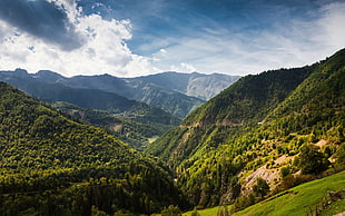 green trees, landscape, trees, clouds, mountains