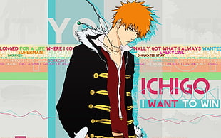 Ichigo character, Bleach, Kurosaki Ichigo, typography, anime boys