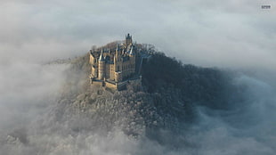 gray and blue concrete castle, castle, Hohenzollern, Germany, forest