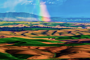 painting of brown mountains