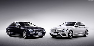 two black and white Mercedes-Benz sedan's