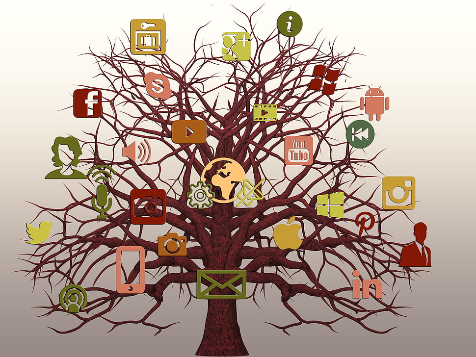 assorted site logos with bare tree HD wallpaper