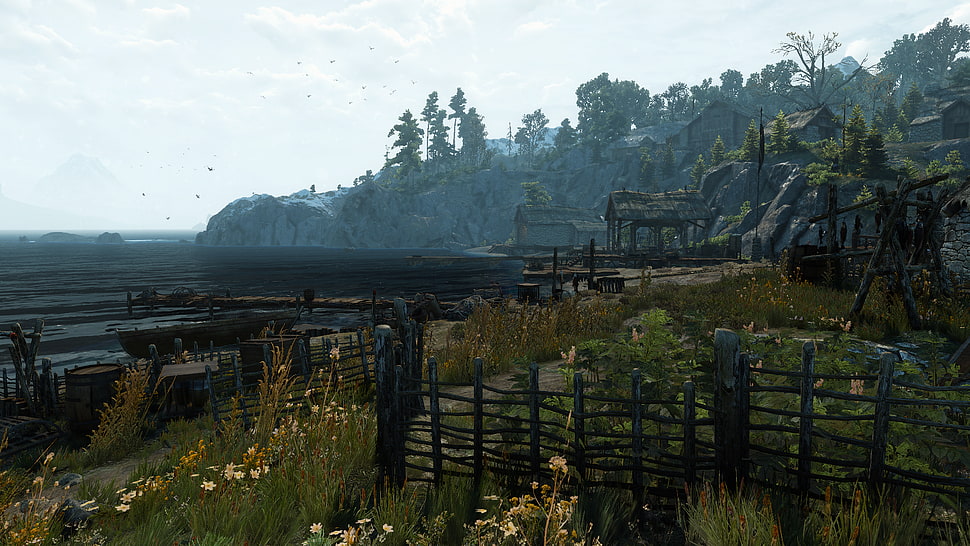 green grass, The Witcher, The Witcher 3: Wild Hunt HD wallpaper