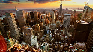 New York city HD wallpaper