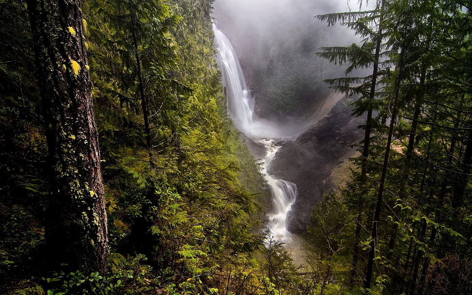 waterfalls, nature, forest, trees, waterfall HD wallpaper