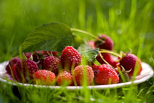 focus photography of plate of raspberries