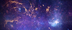 purple and black Galaxy
