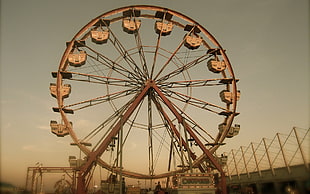 brown ferris wheel
