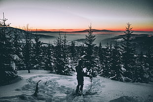 men's black top, Skier, Snow, Winter HD wallpaper