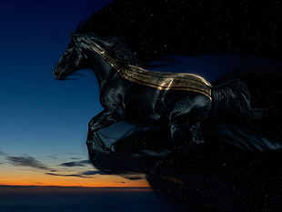 black horse digital wallpaper, horse, sky, flying, space