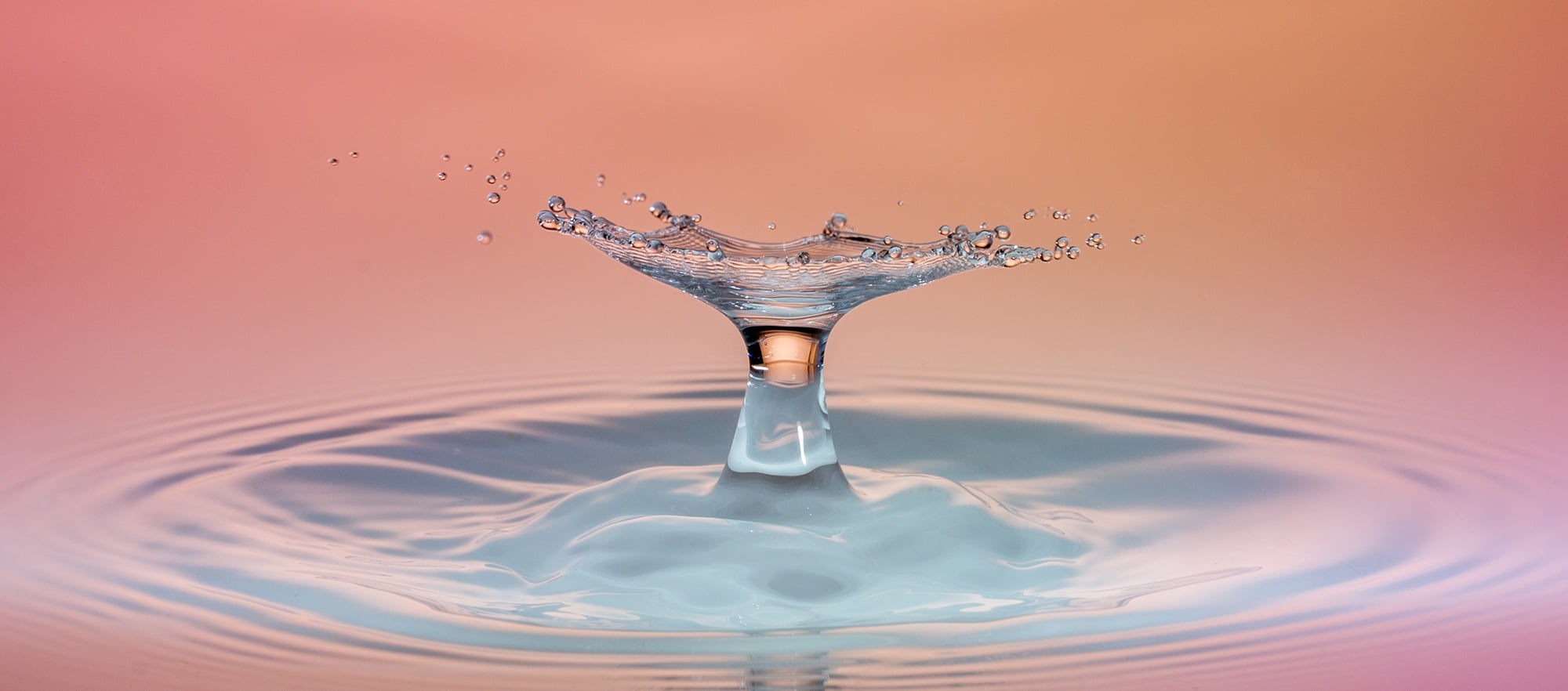 macro photography of water drop