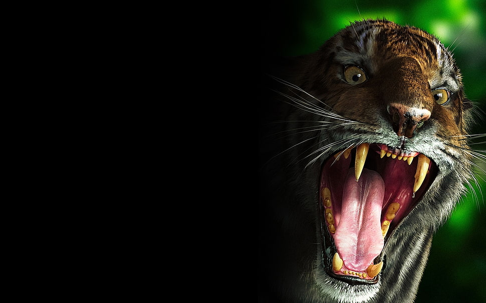 tiger animal HD wallpaper