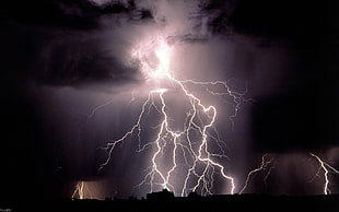 white thunderbolt, storm, night HD wallpaper