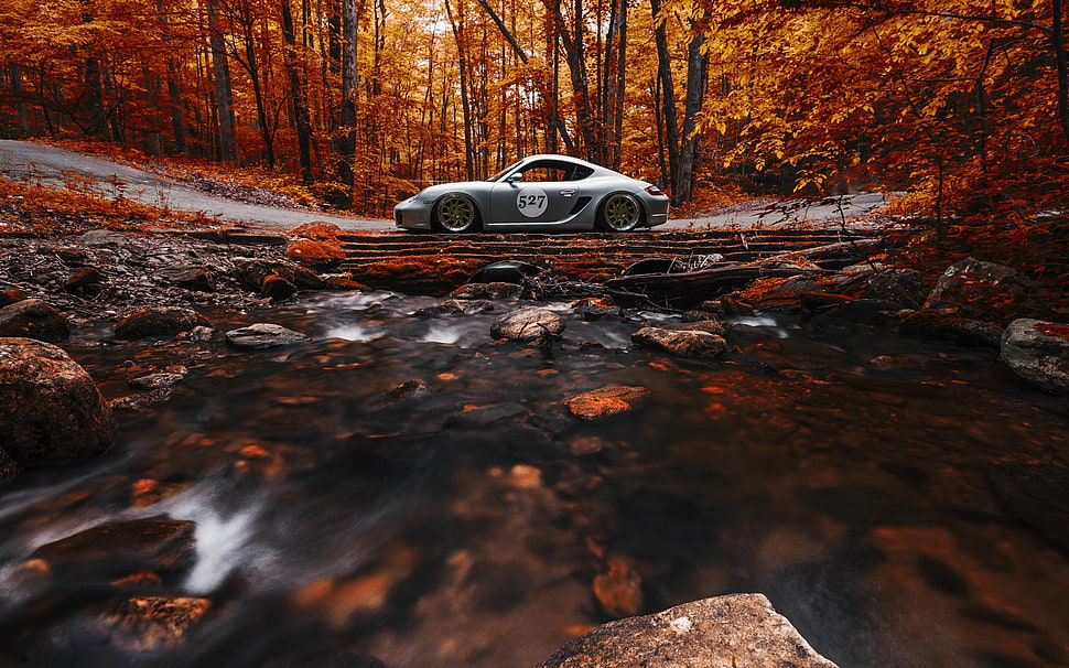 gray sports car, nature, car, trees, forest HD wallpaper