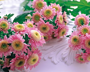 pink petaled flower bouquet on white textile