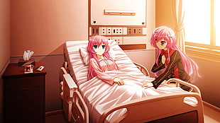 two pink hair girl anime characters illustration