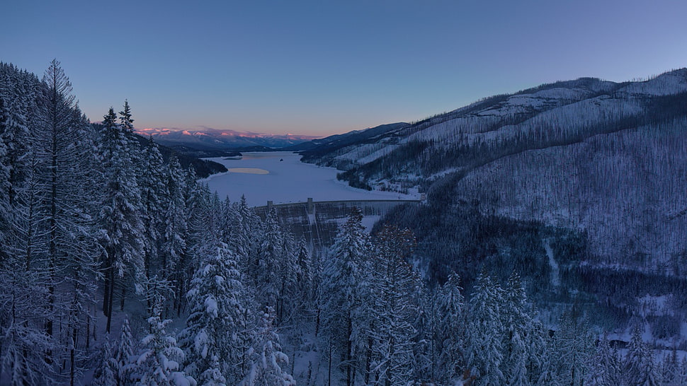 forest and mountain landscape, landscape, winter, snow, nature HD wallpaper