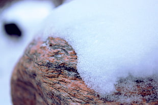 brown stone fragment, nature, snow, stones