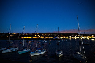 several sail boats, Boat, Dock, Night