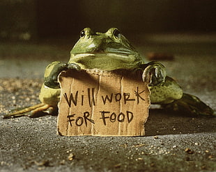 green frog, quote