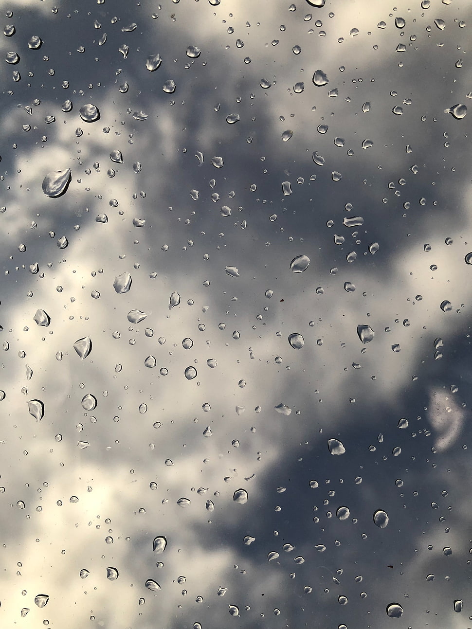 water dew photo HD wallpaper