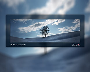 black and gray flat screen TV, landscape