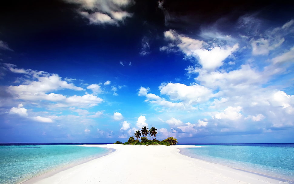 beach resort, clouds, island, palm trees, water HD wallpaper