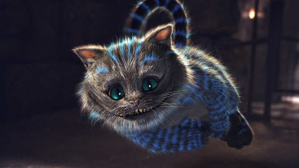 Cheshire cat, Alice in Wonderland, Cheshire Cat HD wallpaper