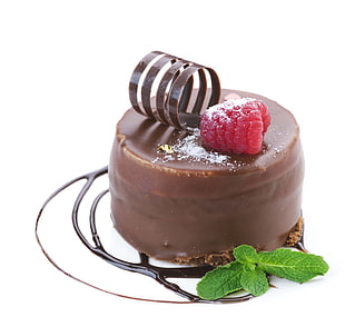 chocolate coated cake