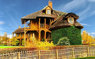 brown wooden house, landscape