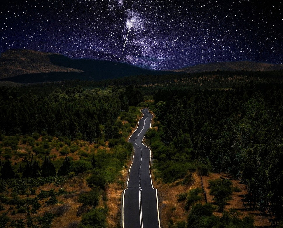 black asphalt road, nature, landscape, starry night, road HD wallpaper