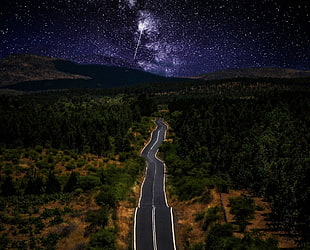 black asphalt road, nature, landscape, starry night, road