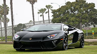 black Lamborghini Huracan, Lamborghini Aventador, car, vehicle, black cars