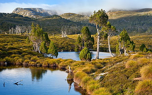 Tasmania, Australia, lake, mountains HD wallpaper